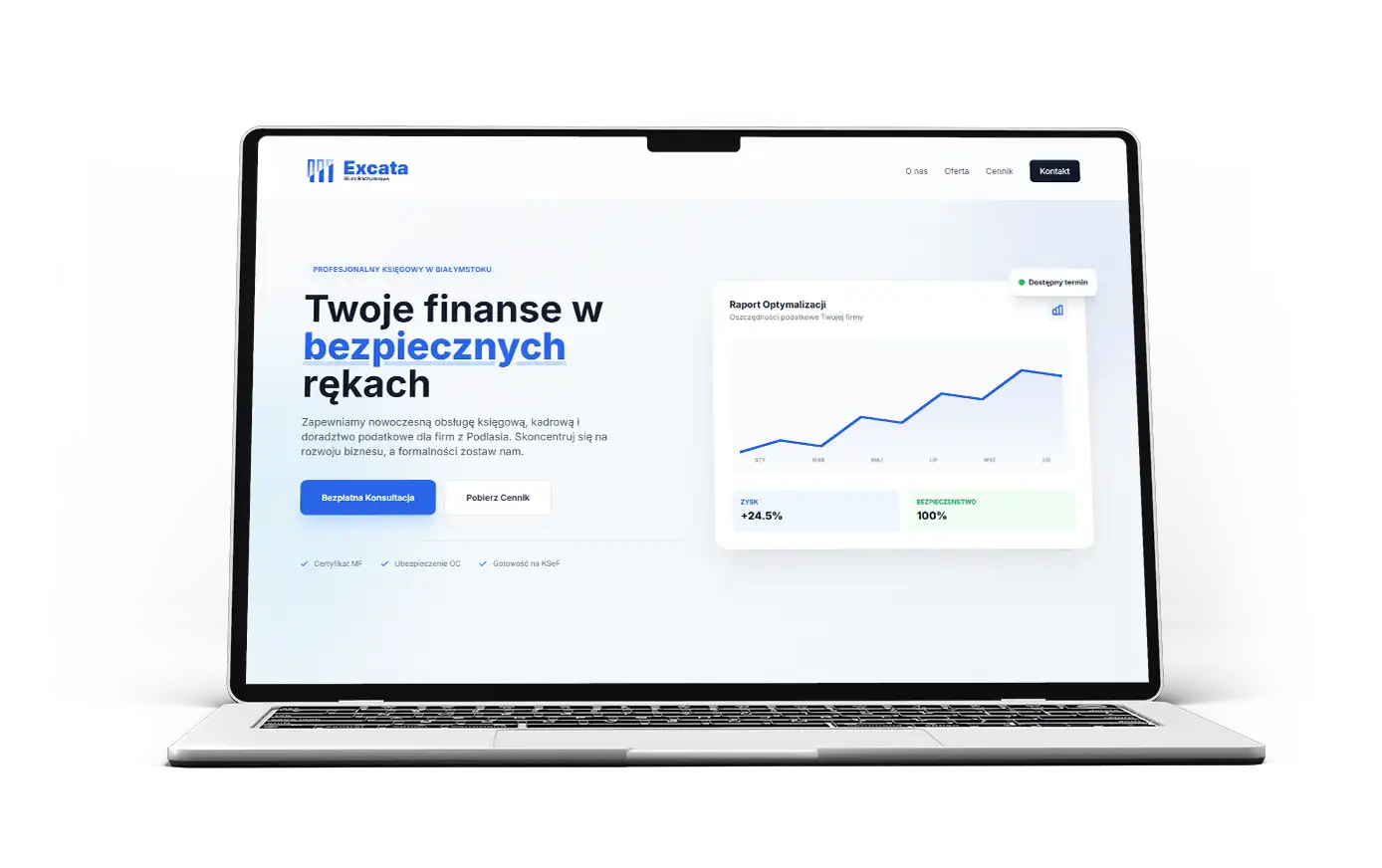 Profesjonalna strona internetowa dla biura rachunkowego i księgowego – Excata