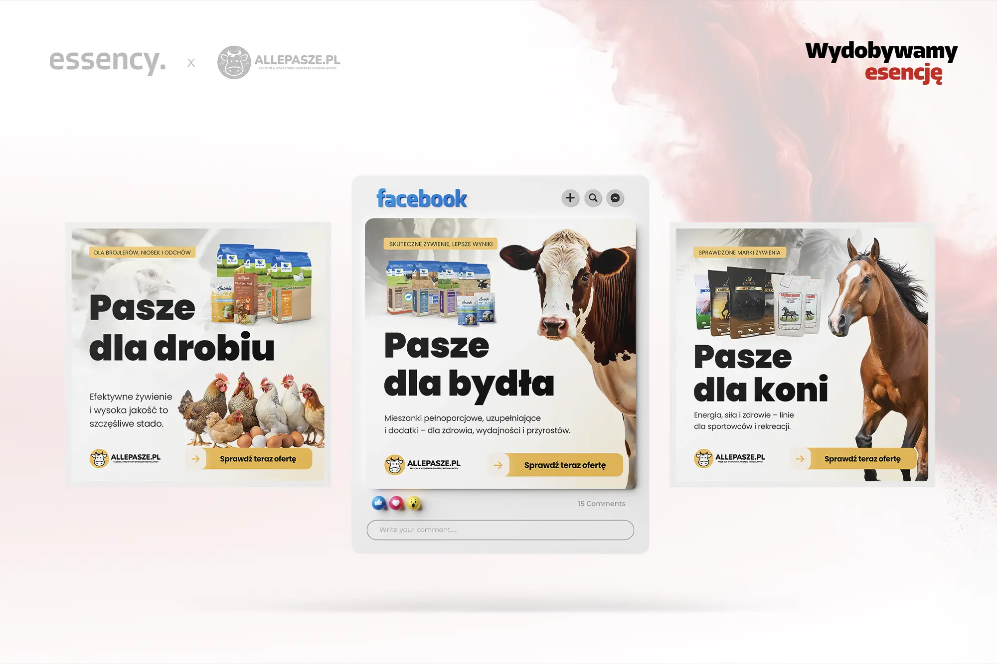Kreacje reklamowe na Facebooku dla sklepu rolniczego allepasze.pl – kampania Meta Ads Essency Media